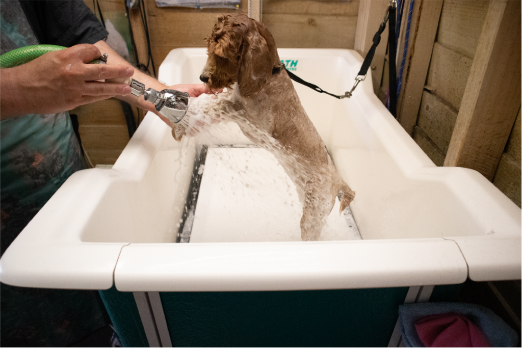 Elegant-dog-wash